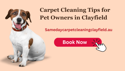 Effective Carpet Cleaning Tips for Pet Owners in Clayfield